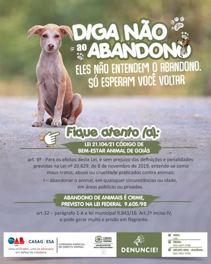 A Comissão Especial de Direito Animal da OAB/GO, em parceria com a Comissão de Proteção, Defesa e Direito dos Animais da Câmara Municipal, unem forças nesta campanha para combater o abandono de animais durante as férias de julho
